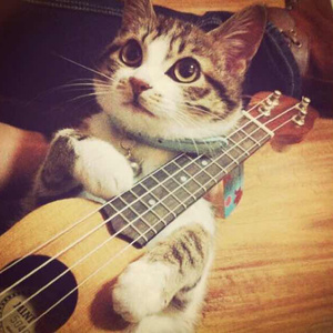 欧美人妖群交pretty
